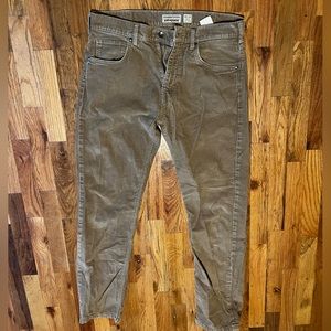 Men’s Patagonia Corduroy pants